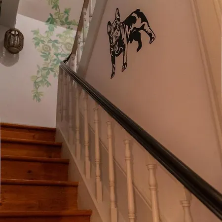 Maritimo Ii Espinho (Aveiro)