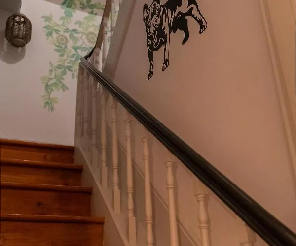 Maritimo Ii 埃斯平霍